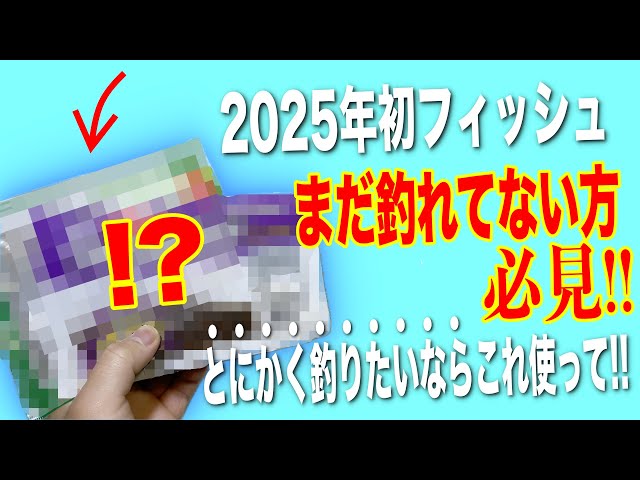 【2025年版】まだ釣れてない方必見！冬でも釣れるルアー2選！と使い方を紹介！