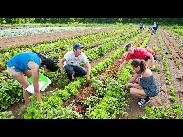 Vassar Ecology