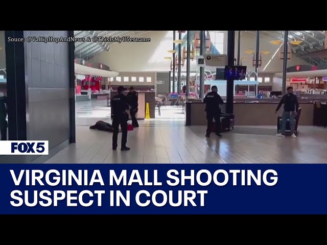 Dulles Town Center shooting suspect appears in court | FOX 5 DC