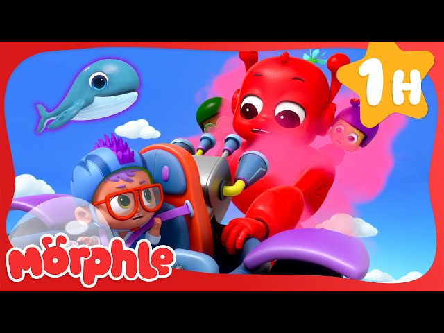 Mini Whale Rescue! | Morphle | Cartoons for Kids | Moonbug Kids