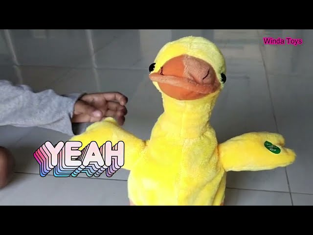 Bebek Mainan, un boxing mainan baru, bebek lucu, mainan bebek lucu, mainan unik