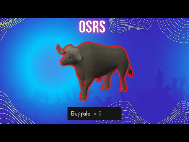 Best Buffalo Guide 2024 {OSRS} Varlamore Part 2