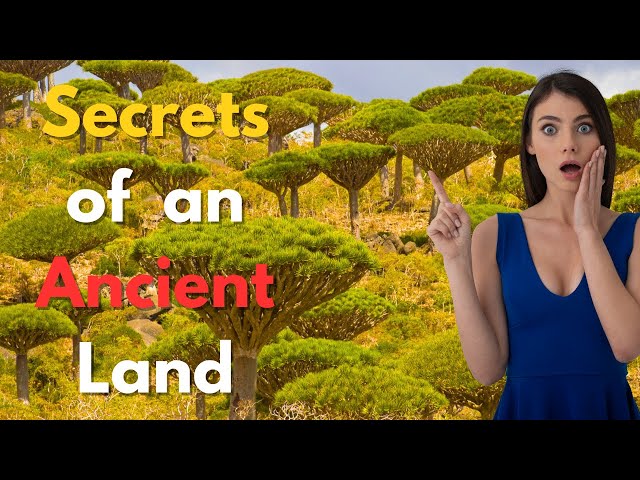 Yemen - Secrets of an Ancient Land