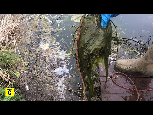 Magnet Fishing The World’s Most POLLUTED Canal!!! (You Won’t Believe What We Found)