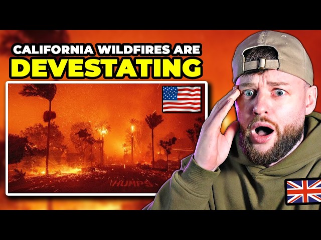 British Guy reacts to the DEVESTATING California Wildfires...