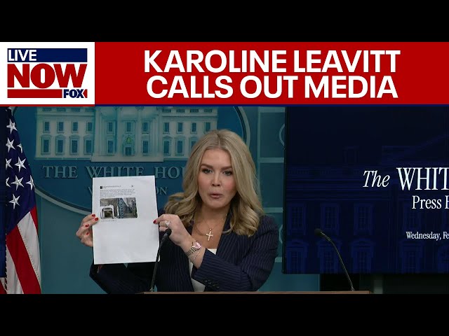 DOGE FINDINGS: Karoline Leavitt slams media on DOGE coverage while they sit stunned