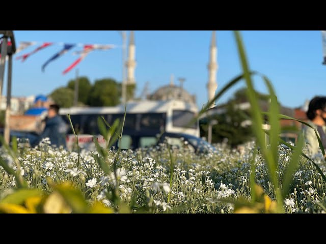 Vâlide-İ Cedid Camii | Üsküdar, Istanbul, Türkiye 🇹🇷 | 4K