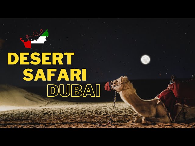 Dubai Desert Safari An Epic Adventure Beyond the City Lights