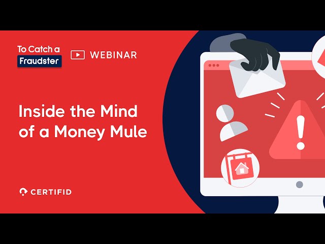 Inside the Mind of a Money Mule | To Catch a Fraudster