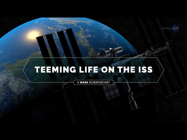 NASA ScienceCasts: Teeming Life on the ISS