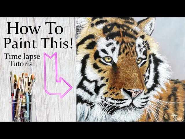 How To Paint A Tiger - Tutorial Time Lapse Acrylic And Oil Paint - Beginner To Advanced