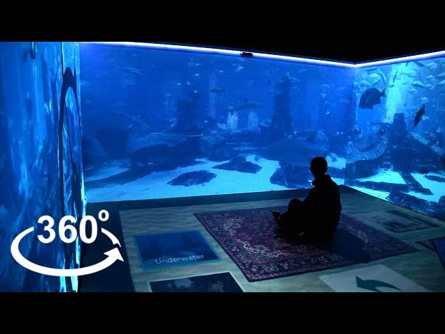 Immersive Resilience: Mental Health Care in the Immersive Space [360 video]