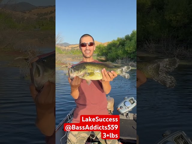 Lake Success @BassAddicts559 AT IT AGAIN!