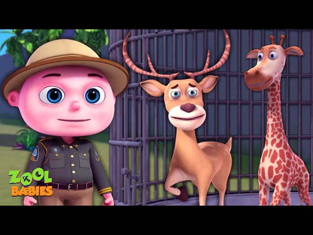 Missing Zoo Animals Episode | Cartoon Animation For Children | Videogyan Kids Shows | Zool Babies