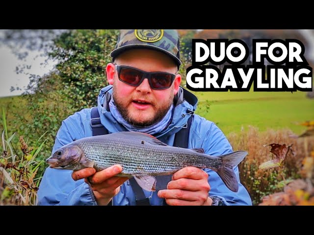 Grayling Fly Fishing The Derbyshire Wye - On The Duo