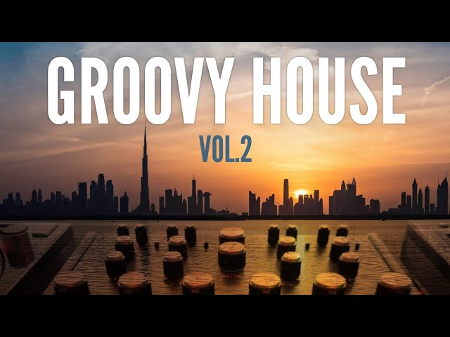 Groovy House Mix Vol.2 | The Best Funky House & Disco House Music