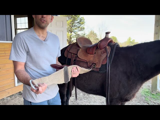 Classic Equine 100% Mohair Roper Cinch with Leather Center, Natural | Review