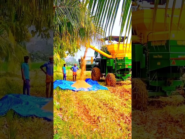 #இயற்கைவிவசாயம் #tamil #vivasayee #tamilmusic #farming #vivasaye #tamilsongs #agriculture #vivasaayi