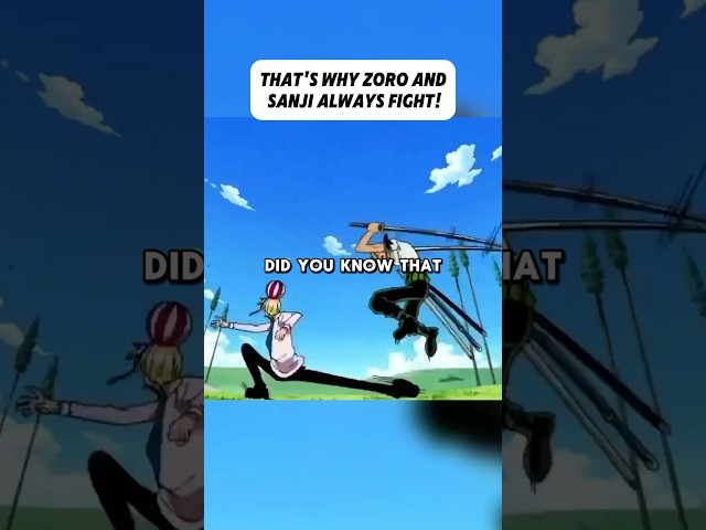 That‘s why Zoro & Sanji always fight! #shortvideo #onepiece