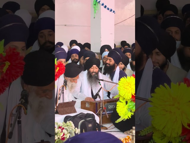 Waheguru Simran - Bhai Jagpal Singh Ji Akj Amritsar Samagam 2024 #youtubeshorts #shortvideo #shorts