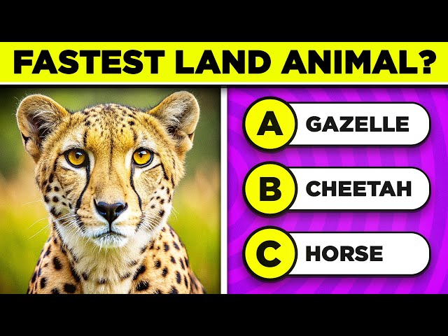 Can YOU Ace This INSANE General Knowledge Quiz 🧠