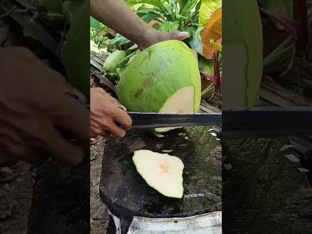 fresh green coconut new style peeling