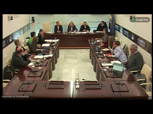 Comisión subtitulada de Educación, Ciencia y Formación Profesional 20/02/2025