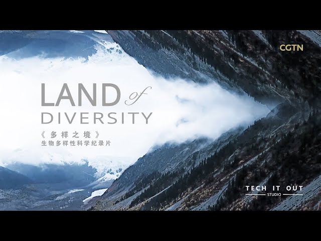 Land of Diversity_多样之境