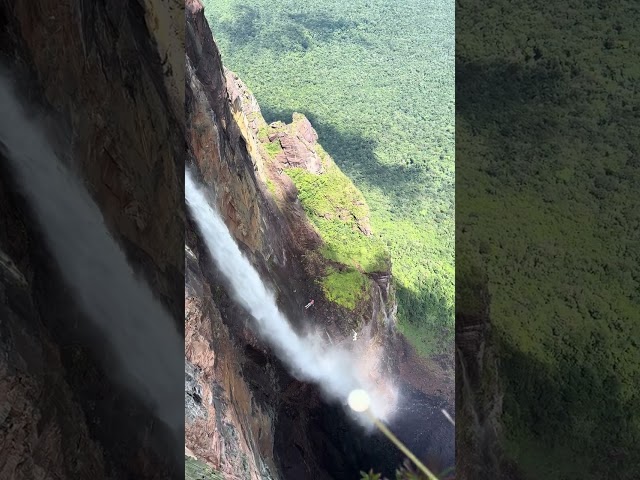 CANNONBALL FROM THE TALLEST WATERFALL IN THE WORLD!  #basejump #basejumping #angelfalls #saltoangel