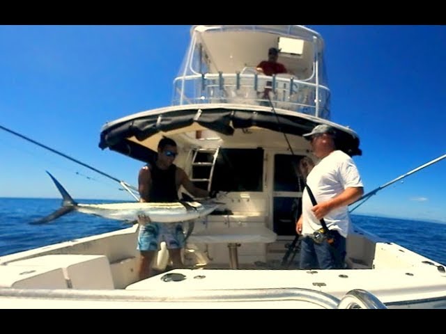 Team Slayer 360 Deep Sea Fishing- Trolling for Marlin, Gold Coast Queensland