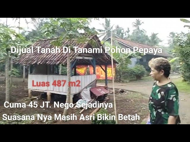 Suasana Kampung Nya Asri, Bikin Betah Dijual Tanah Harga Murah