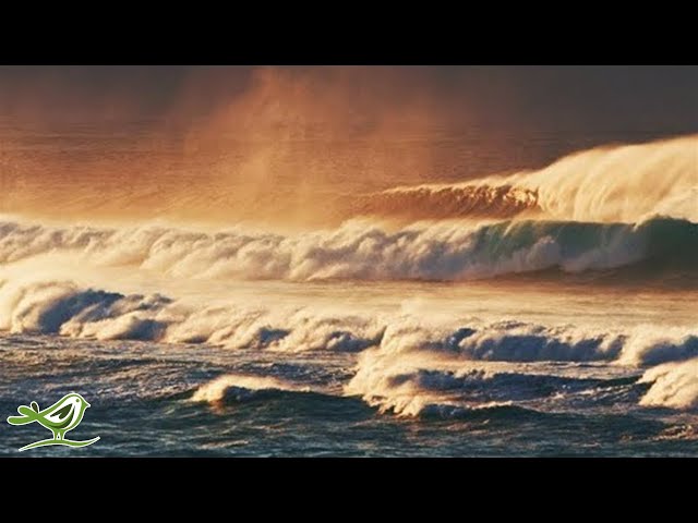 Let Your Thoughts Wander with Ocean Waves, Calm Piano Music and Beautiful Nature