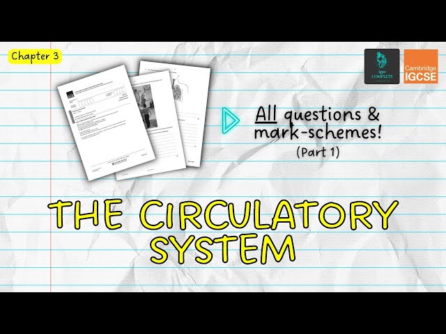 QUESTIONS, A* ANSWERS & MARK SCHEMES - Circulatory System (Ch 3) - IGCSE PE exam revision