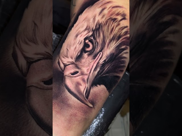 Águia realista #Tattoo #Tatuagem #TatuRealista