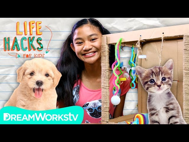 Pet Hacks | LIFE HACKS FOR KIDS