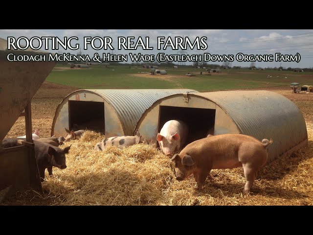 Rooting for Real Farms: Clodagh McKenna & Helen Wade (Eastleach Downs Organic Farm)