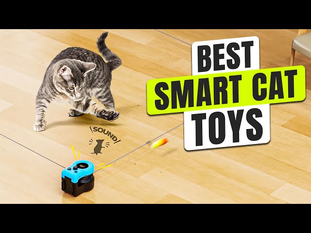 3 BEST Smart Cat Toys