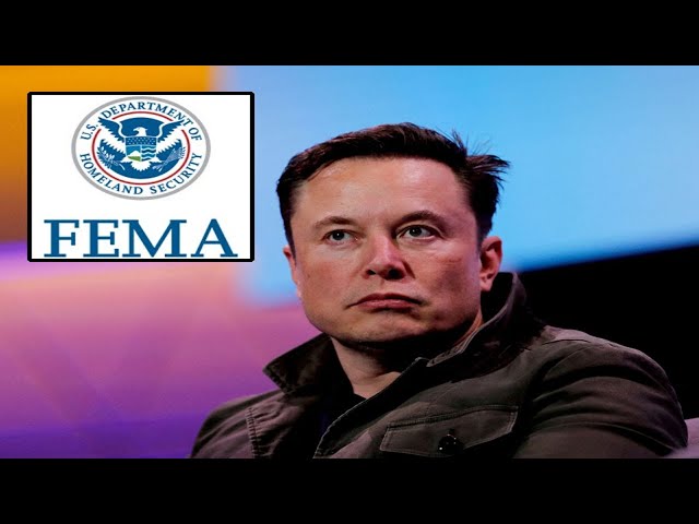 Elon Musk: "FEMA sent $59M to luxury NYC hotels for illegal migrants—‘A violation of the law’."