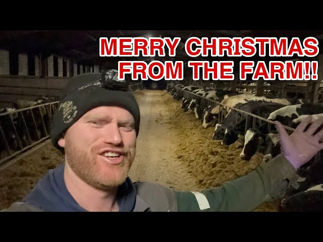 CHRISTMAS MORNING ON THE FARM!!