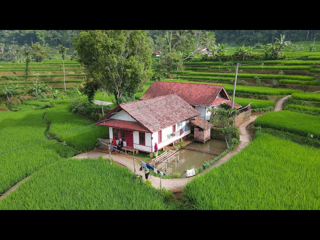 Pasti Sepakat Kampungnya Indah Banget, Ini Namanya Lukisan Pemandangan Alam Pedesaan ~ Tasikmalaya