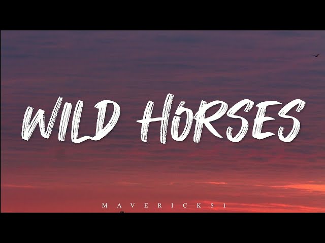 The Rolling Stones - Wild Horses with LYRICS ♪