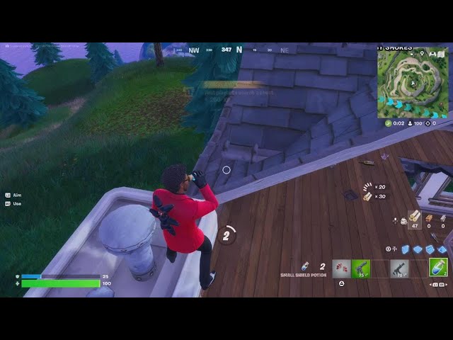 Fortnite og