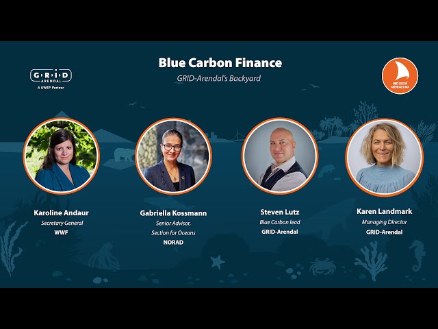 Blue Carbon Finance: Sustainable Management Unlocked?