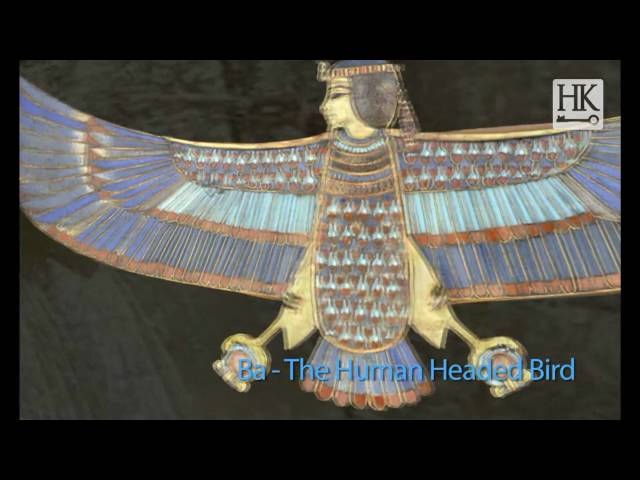 External Trappings of Tutankhamun's Mummy (Shot in King Tut Virtual)