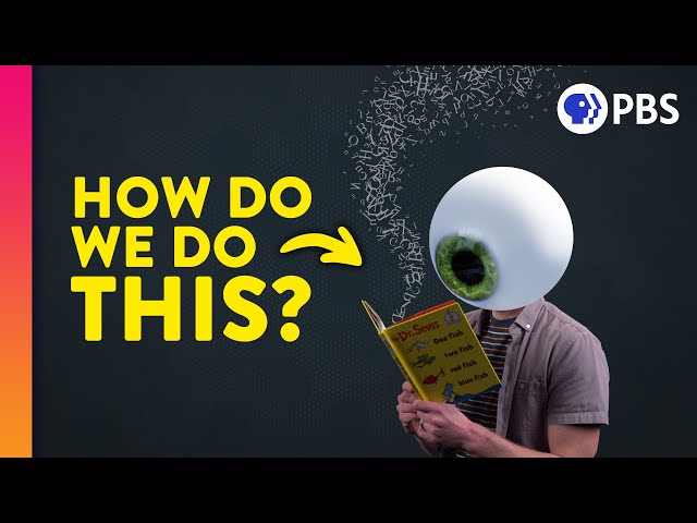 The Unbelievable Science of How We Read