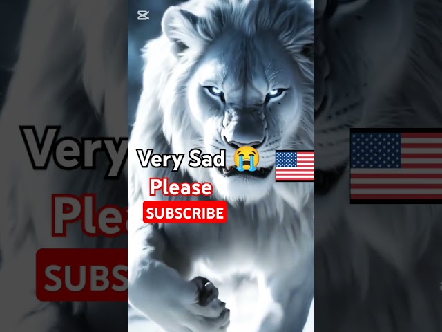 King👑of America Donald trump's Lion🦁style#trump #america#unitedstates#usa #Shorts#YouTubeShorts#usa