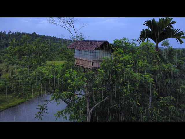 Heavy rain camping - Camping in an Abandoned Tree House by the river