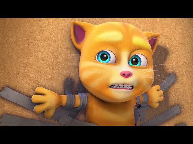 The Crazy Life of Talking Tom & Friends (Favorite Episodes Compilation)