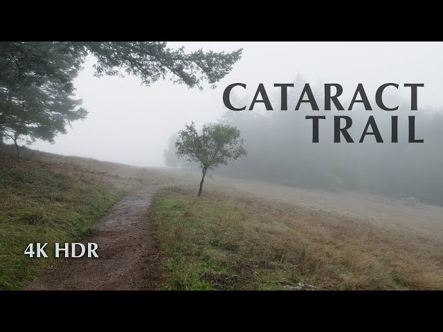 Walking to Cataract Falls after rain, Mt Tamalpais, CA / 4K HDR