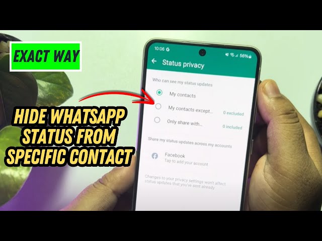 How To Hide WhatsApp Status From Specific Contact (2025)